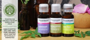 panel-tisserand-aromatherapy