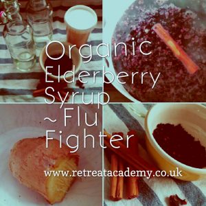 Organic Elderberry Syrup