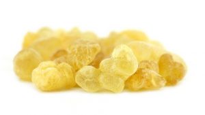 Frankincense in it's Resin form